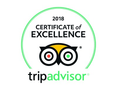 2018 Certificate of Excellence badge